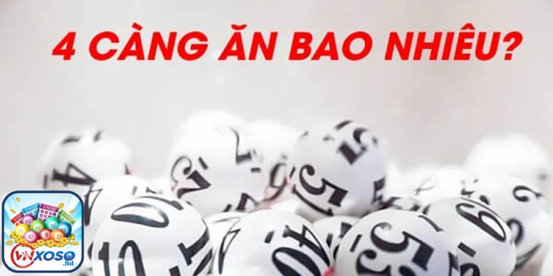 4 càng ăn bao nhiêu