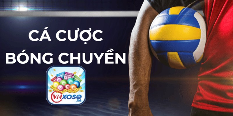 Cá cược bóng chuyền